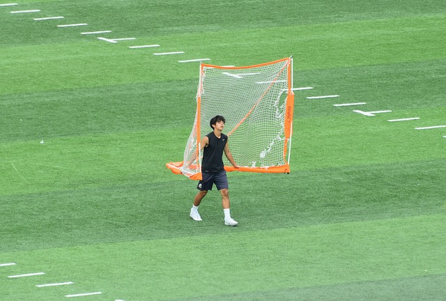 供了有力保