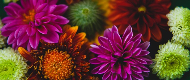 会市场中 会市场中