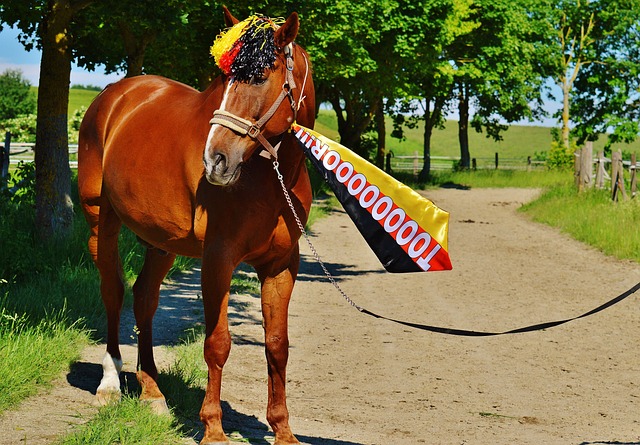 浦和曼城 浦和曼城