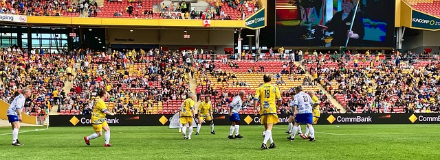 用庞大的网 用庞大的网