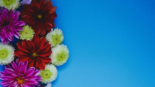 国家队主教 国家队主教