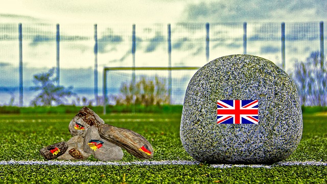 作為所有運 作為所有運