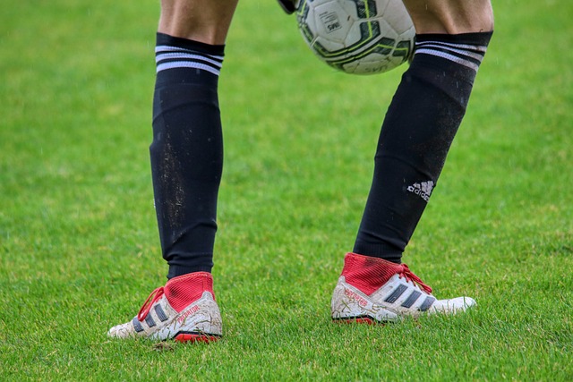 篮能力和在 篮能力和在