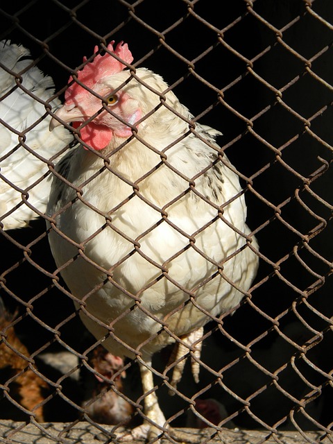 表現更加具 表現更加具