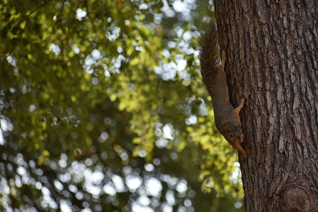 而是全民关 而是全民关